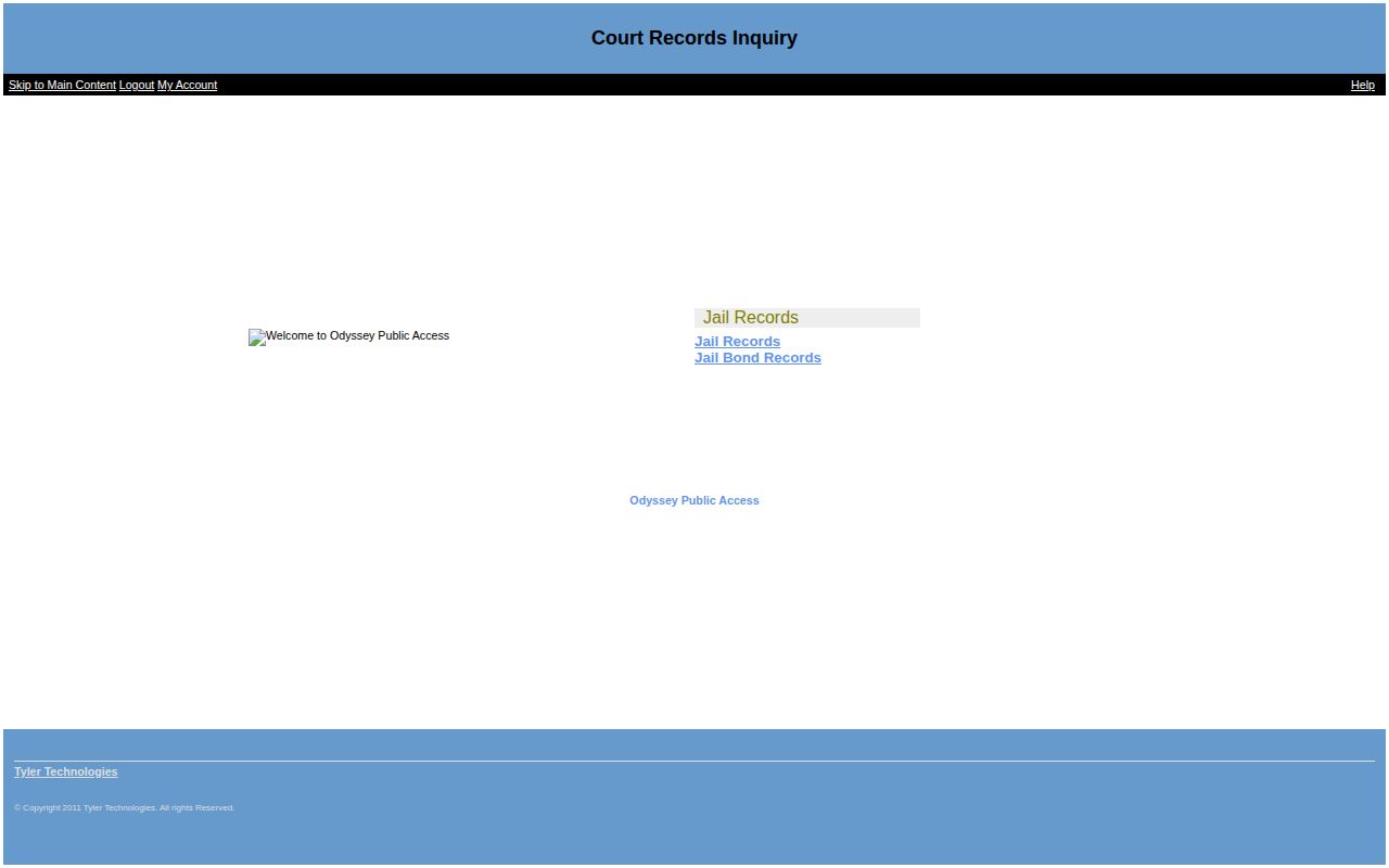 Lowndes County jail record search fields for Echols County bookings